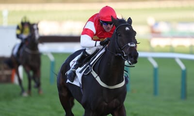 horse-racing_cheltenham.