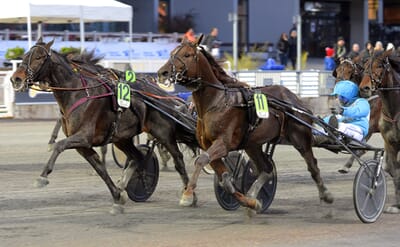 trotting-harness-racing-2.