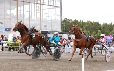 trotting-harness-racing-3.